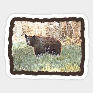 Black Bear No.1 Sticker